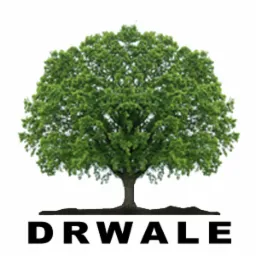 Pielęgnacja i wycinka drzew metodą alpinistyczną